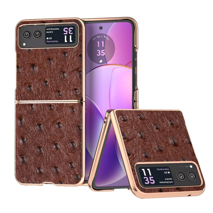 For Motorola Razr 40 Nano Plating Genuine Leather Ostrich Texture Phone Case(Coffee) - Motorola Cases by buy2fix | Online Shopping UK | buy2fix