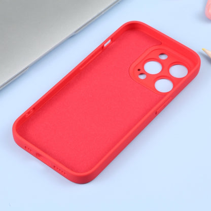 For iPhone 16 Pro Max Liquid Silicone Magsafe Phone Case(Red) - iPhone 16 Pro Max Cases by buy2fix | Online Shopping UK | buy2fix