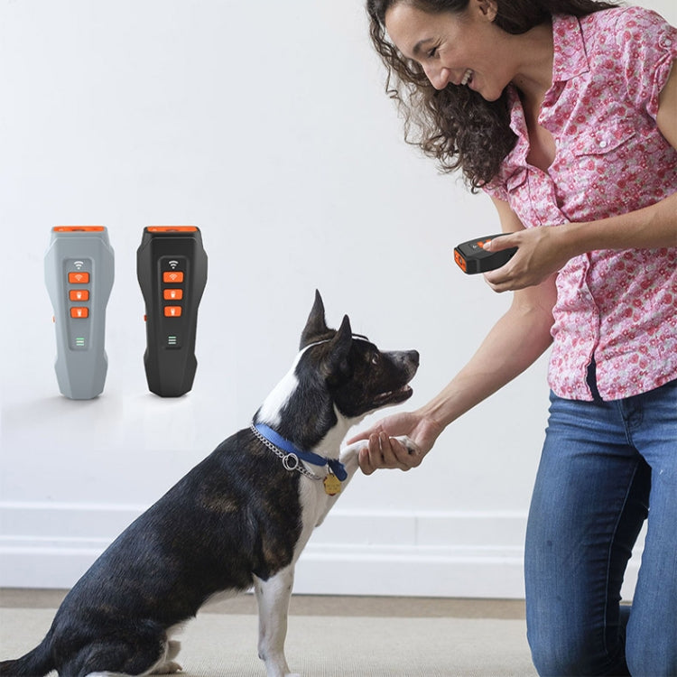 LED Flashing Light Handheld Ultrasonic Bark Arrester Frequency Conversion Dog Training Device(Dark Gray) - Training Aids by buy2fix | Online Shopping UK | buy2fix