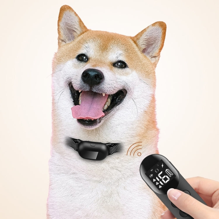 Pet Dog Training Anti-barking Collar Smart Remote Control(Random Color Delivery) - Training Aids by buy2fix | Online Shopping UK | buy2fix