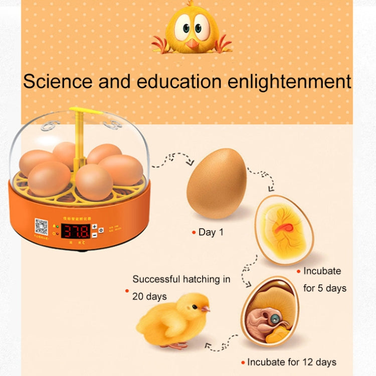 6-Eggs Small Household Experimental Children Smart Chicken Incubators, Spec: Dual-electric Automatic EU Plug - Incubators by buy2fix | Online Shopping UK | buy2fix