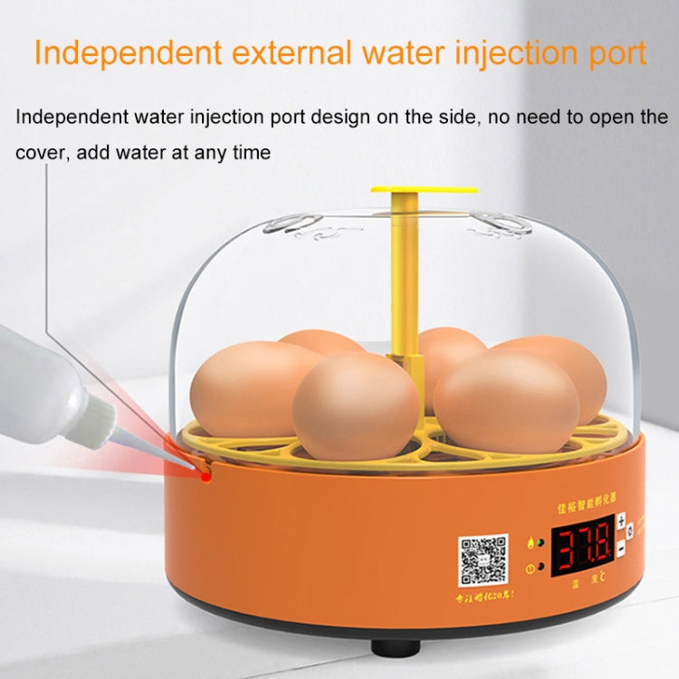 6-Eggs Small Household Experimental Children Smart Chicken Incubators, Spec: Automatic AU Plug - Incubators by buy2fix | Online Shopping UK | buy2fix