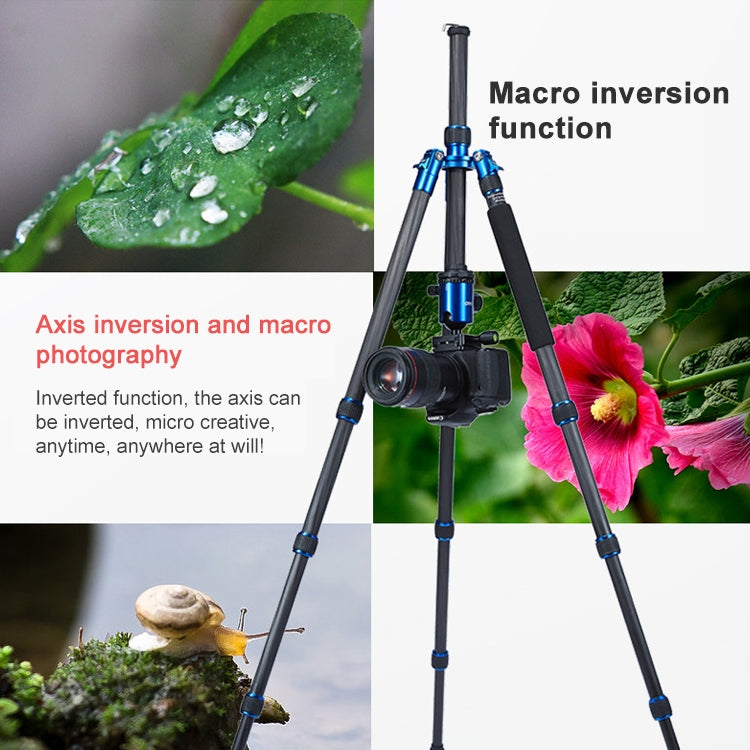 TRIOPO Oubao C-608S Adjustable Portable Carbon Fiber Tripod with Ball Head for SLR Camera - Tripods by TRIOPO | Online Shopping UK | buy2fix