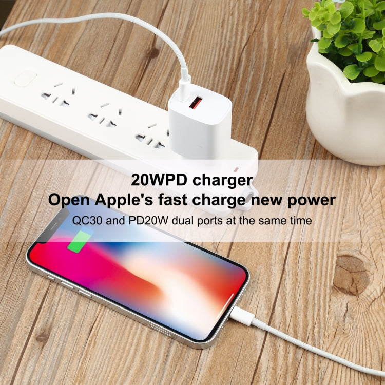 T087 20W USB-C / Type-C + USB Ports Charger with 100W Type-C to 8 Pin Fast Charging Cable 2m, EU Plug - USB Charger by buy2fix | Online Shopping UK | buy2fix