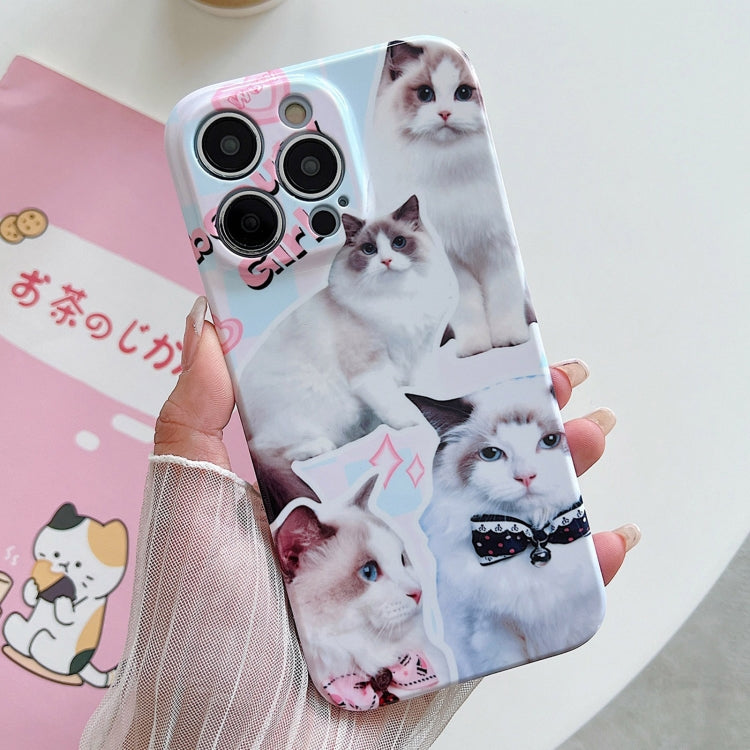 For iPhone 15 Pro Max PC Phone Case(White Cat) - iPhone 15 Pro Max Cases by buy2fix | Online Shopping UK | buy2fix