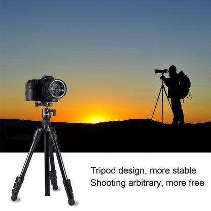 PULUZ 4-Section Folding Legs Metal  Tripod Mount with 360 Degree Ball Head for DSLR & Digital Camera, Adjustable Height: 42-130cm - Camera Accessories by PULUZ | Online Shopping UK | buy2fix