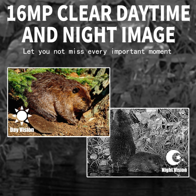 PR300 Pro Outdoor Night Vision Hunting Tracking Camera 16MP Motion Activated - Hunting Cameras by buy2fix | Online Shopping UK | buy2fix