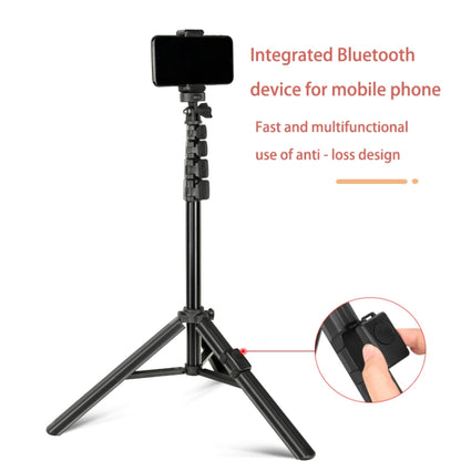 QingZhuangShiDai ZP100B Aluminum Alloy Floor Phone Stand Live Bluetooth Phone Selfie Stick - Consumer Electronics by Qingzhuangshidai | Online Shopping UK | buy2fix