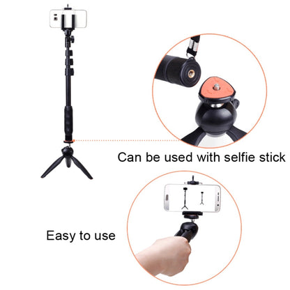 YUNTENG 228 Mini Tripod Camera Desktop Live Bracket Mobile Phone Selfie Frame(Black) - Camera Accessories by YUNTENG | Online Shopping UK | buy2fix